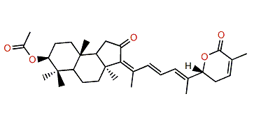 22,23-Dihydrostellettin D